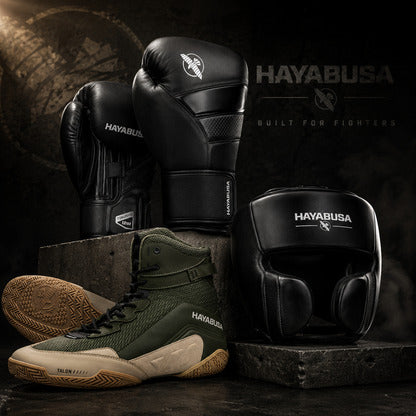 Hayabusa