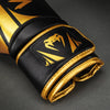 Venum Challenger 2.5 Boxing Gloves – Black/Gold 16oz